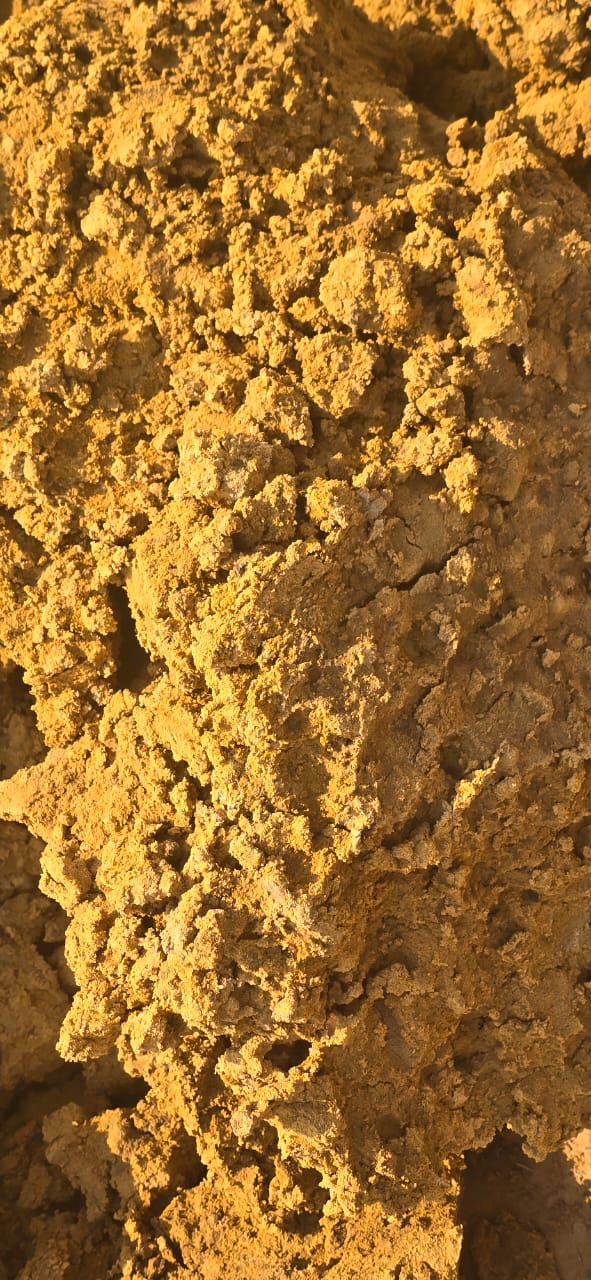 0 Bedroom Property for Sale in Hoopstad Rural Free State